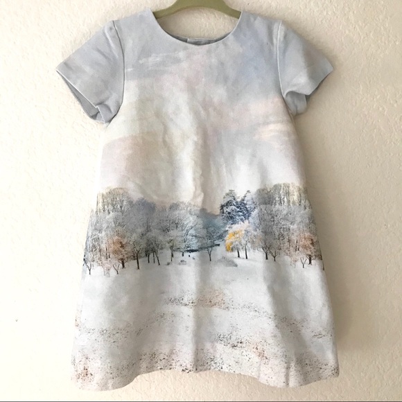 Zara Other - ❗️SOLD❗️Zara Baby Girl’s Dress